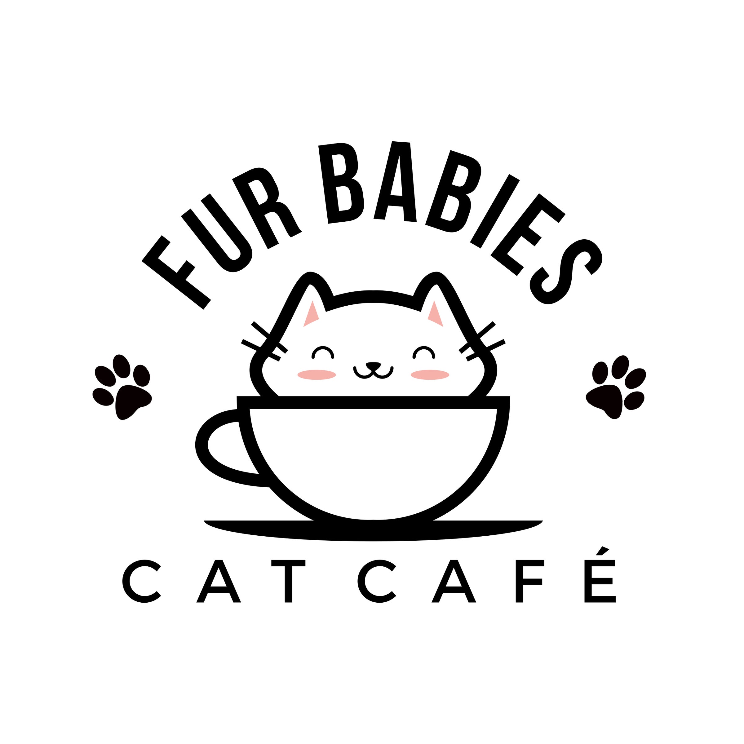 Fur Babies Cat Cafe Donation Drive